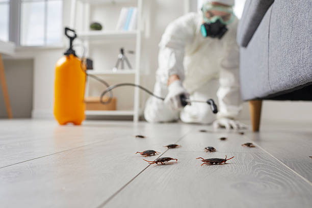 Commercial Kitchen Cockroach Control in East Troy